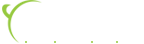Systronic IT Services